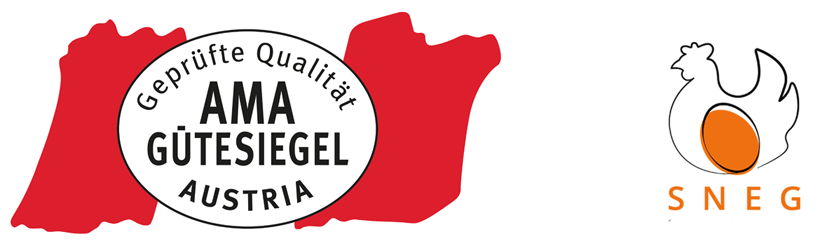 SNEG-Online Logo